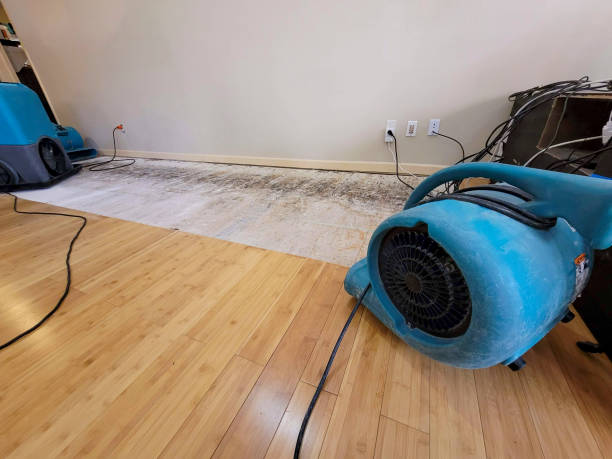 Professional Water Damage Repair technician working in Glendale, RI